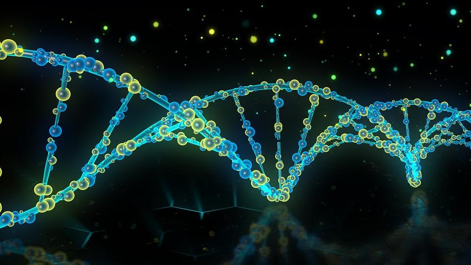 DNA